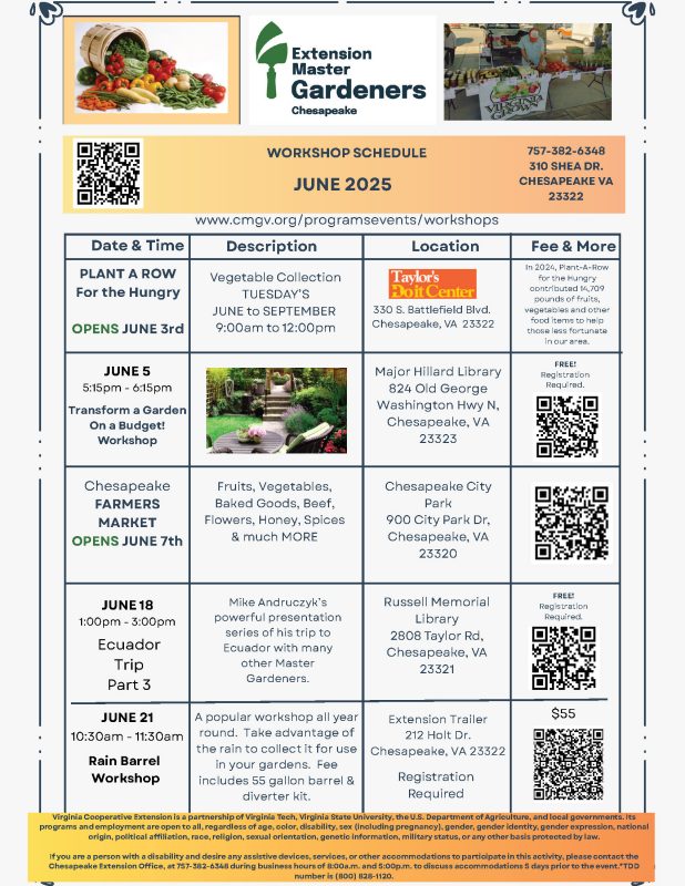June Workshops